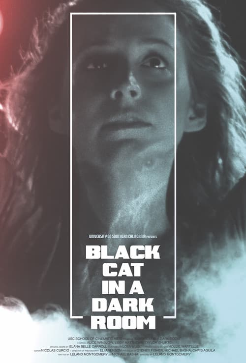 Black Cat in a Dark Room (2019) poster