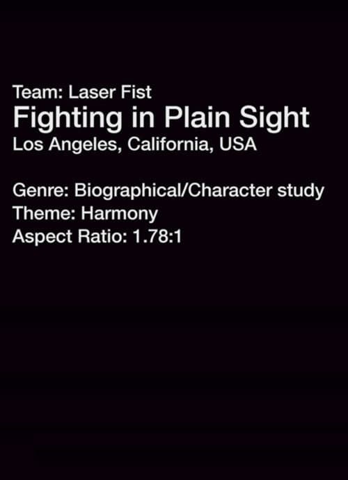 Fighting in Plain Sight (2013) poster