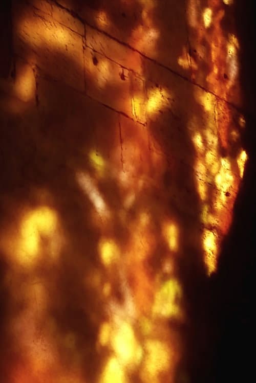 Chaînes Dorées (2025) poster