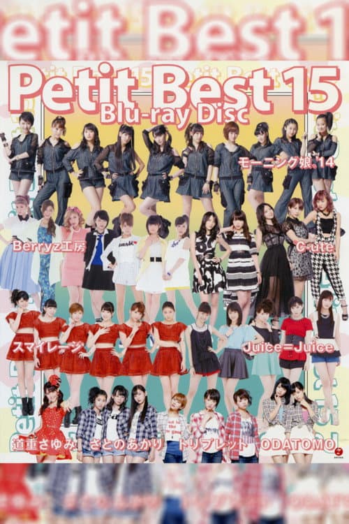 プッチベスト 15 (2014) poster