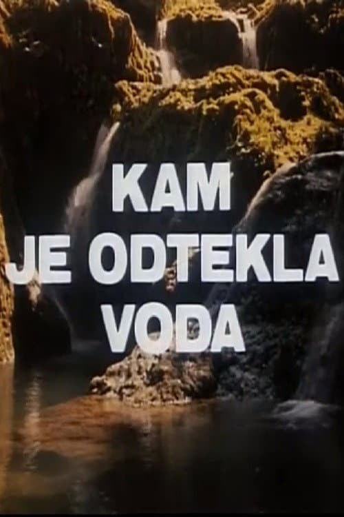 Kam je odtekla voda? (1984) poster