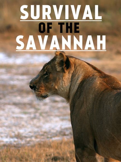 Survival on the Savannah (1999) poster