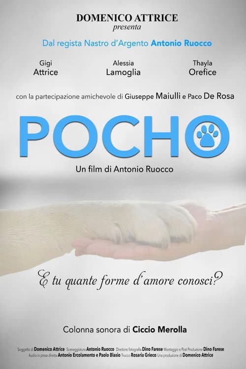 Pocho (2023) poster