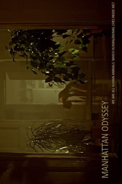 Menhetenska odiseja (2020) poster