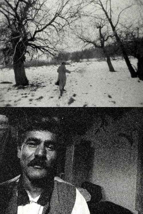 Dobré srdce (Lačho jilo) (1999) poster