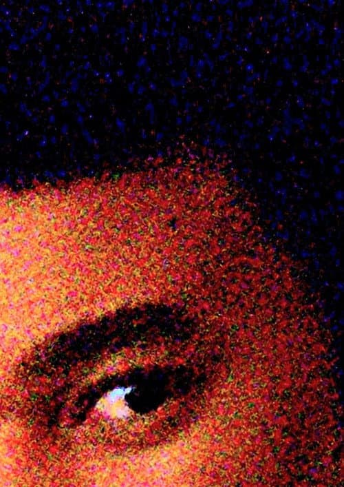 Miolo do Pedro (2023) poster