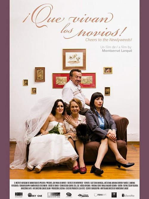¡Que vivan los novios! (2017) poster