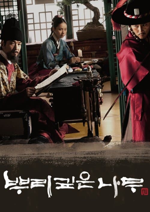 뿌리깊은 나무 (2011) poster