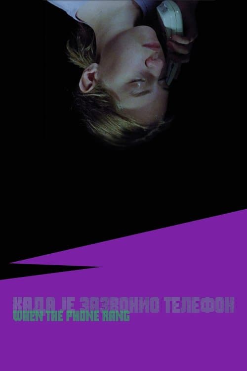 Када је зазвонио телефон (2025) poster