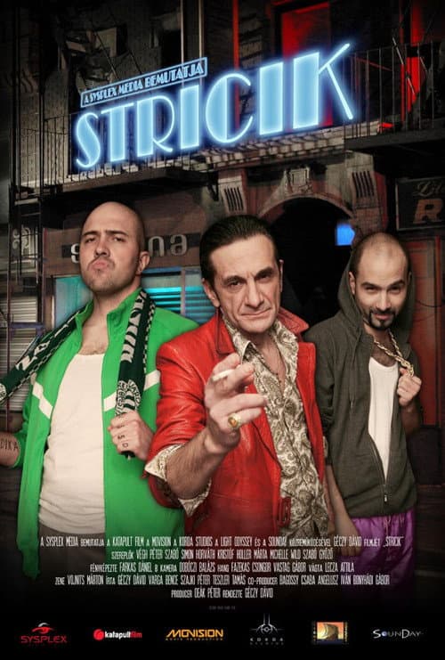Stricik (2010) poster