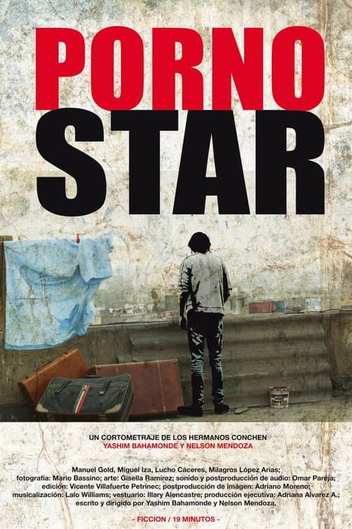 Porno Star (2011) poster