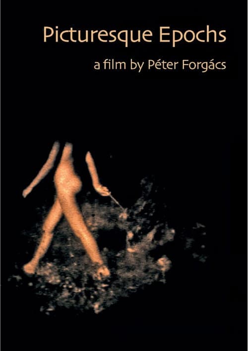 Picturesque Epochs (2018) poster