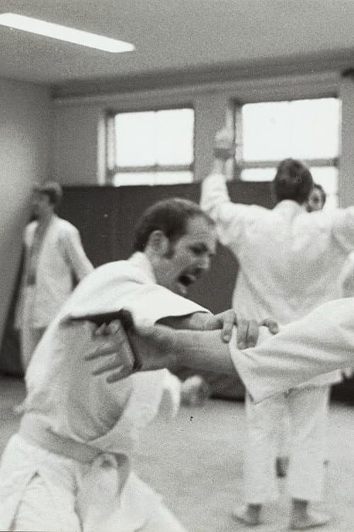Politiewerk (1978) poster