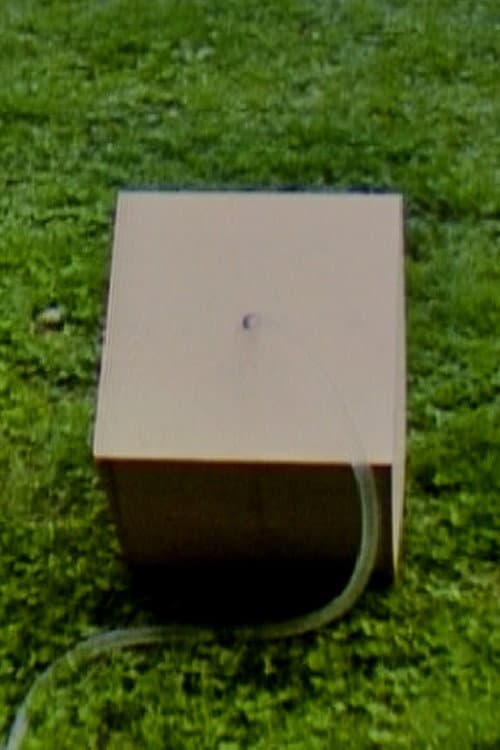 Box 2 (1979) poster