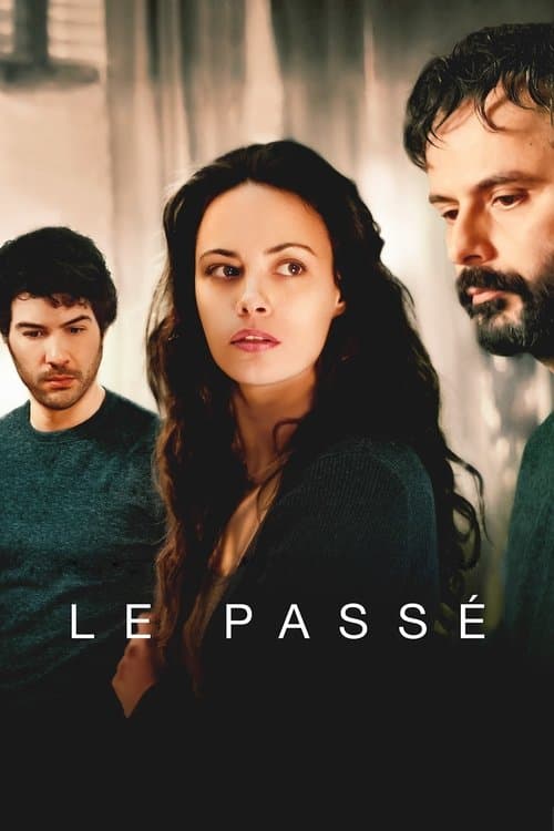 The Past (2013) poster