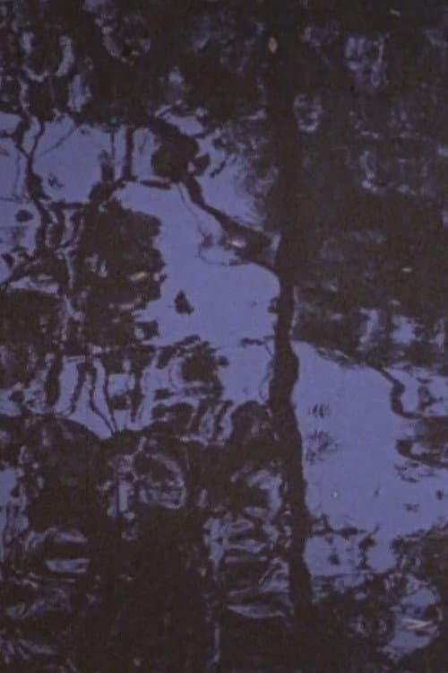 Trees in the River, Kent OH (1973) poster