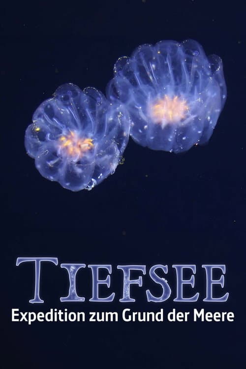 Faszination Tiefsee - Expedition zum Grund der Meere (2026) poster