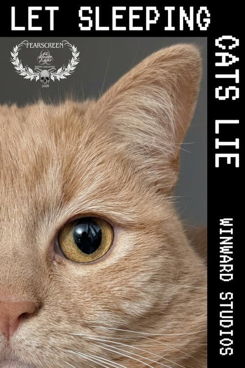 Let Sleeping Cats Lie (2026) poster