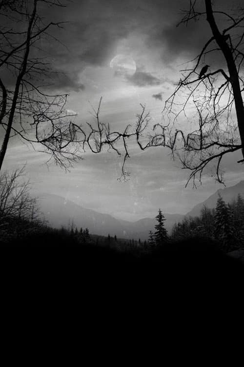 Dunderland (2012) poster