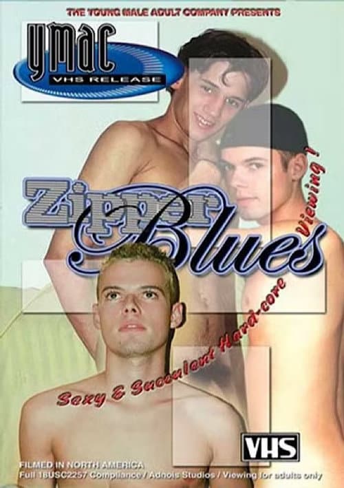 Zipper Blues (2002) poster