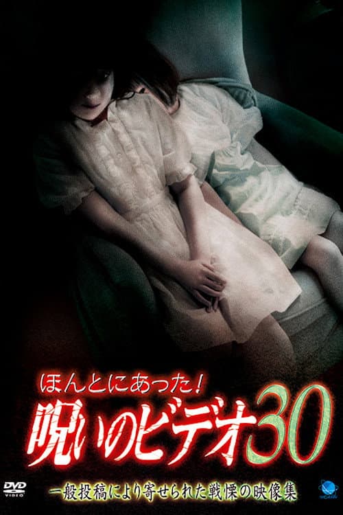 ほんとにあった! 呪いのビデオ 30 (2008) poster