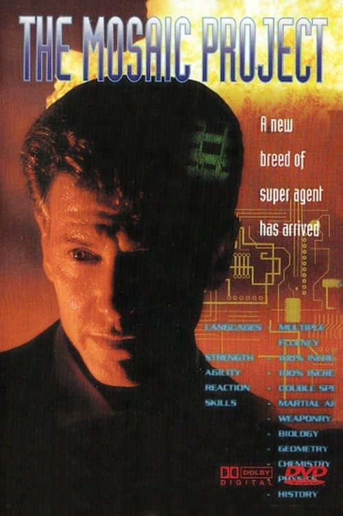 The Mosaic Project (1994) poster