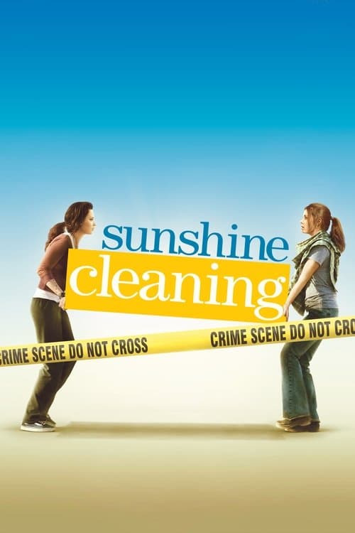 Sunshine Cleaning (2009) poster