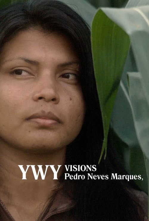 YWY, Visions (2023) poster