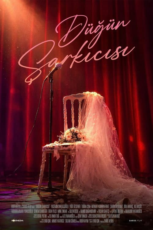 Düğün Şarkıcısı (2026) poster