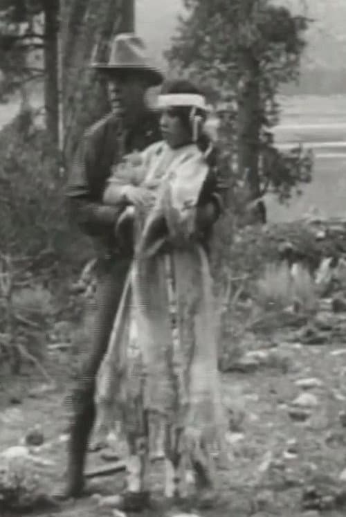 Little Dove's Romance (1911) poster