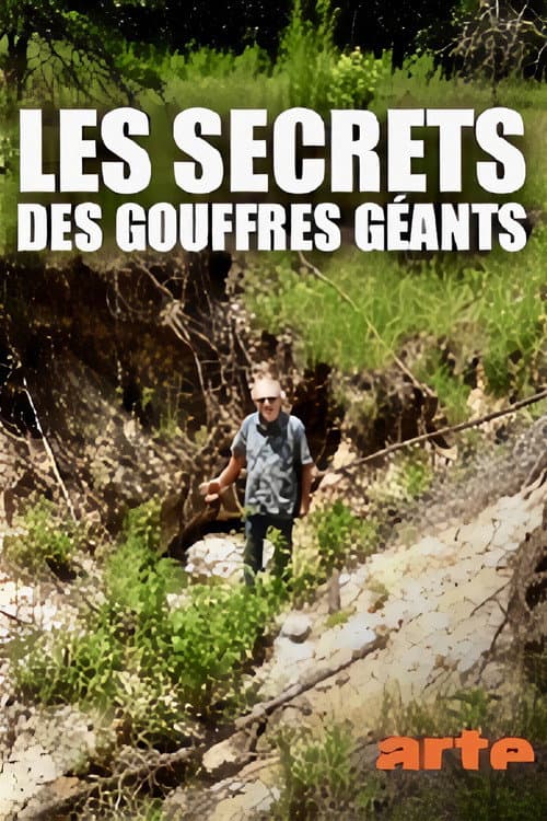 Les secrets des gouffres géants (2015) poster