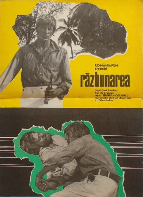 Razbunarea (1973) poster