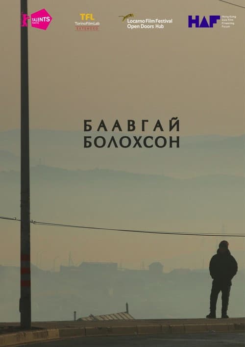 Баавгай болохсон (2024) poster