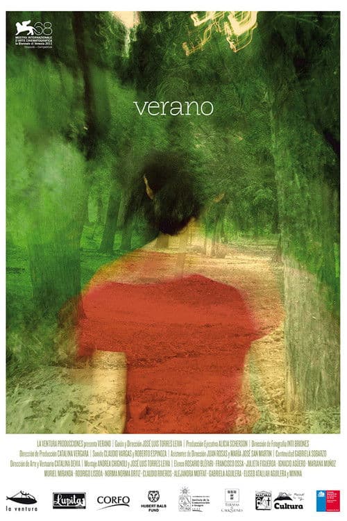 Verano (2011) poster