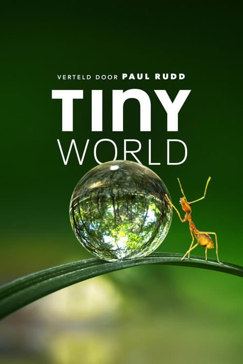 Tiny World (2020) poster