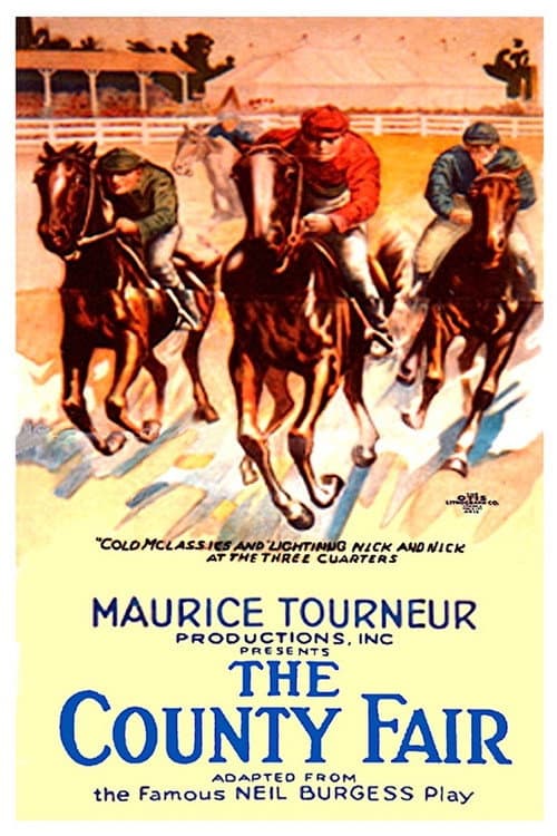 The County Fair (1920) poster