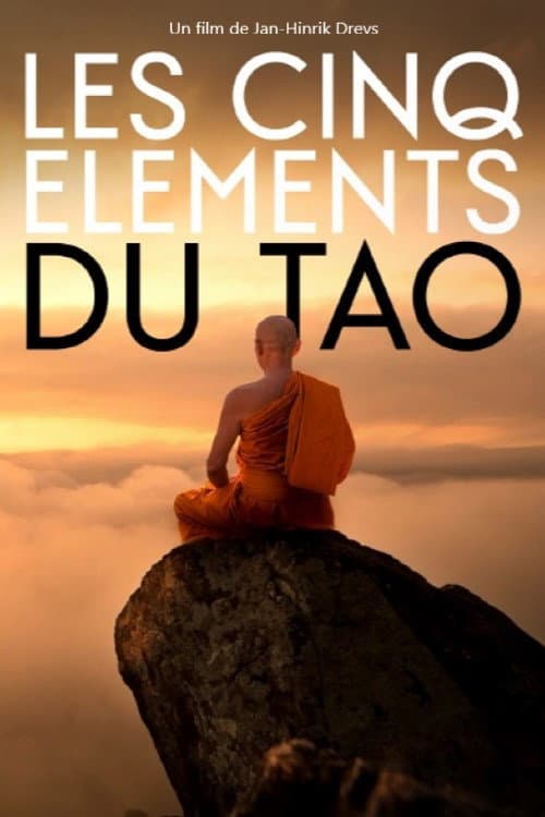Balance of the Five Elements (2020) poster