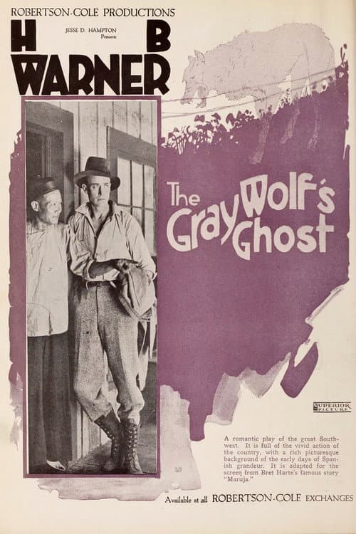 The Gray Wolf's Ghost (1919) poster