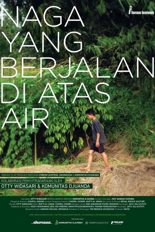 Naga yang Berjalan di Atas Air (2012) poster