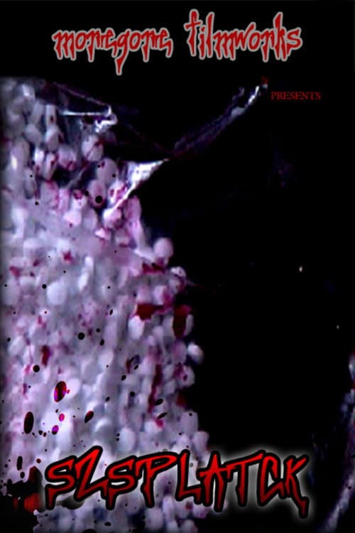 Szsplatck (2006) poster