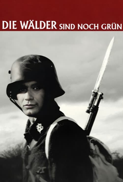 Die Wälder sind noch grün (2014) poster