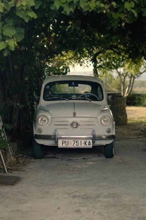 Kartoline: Momjan (2019) poster