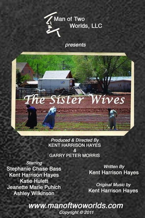 The Sister Wives (2011) poster
