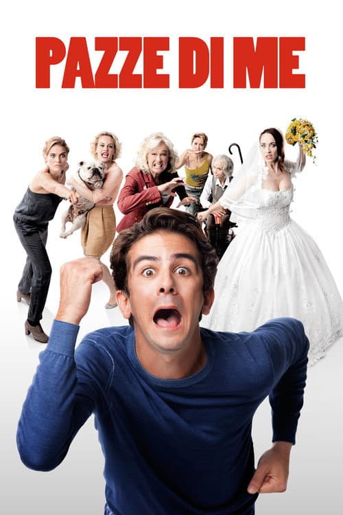 Pazze di me (2013) poster