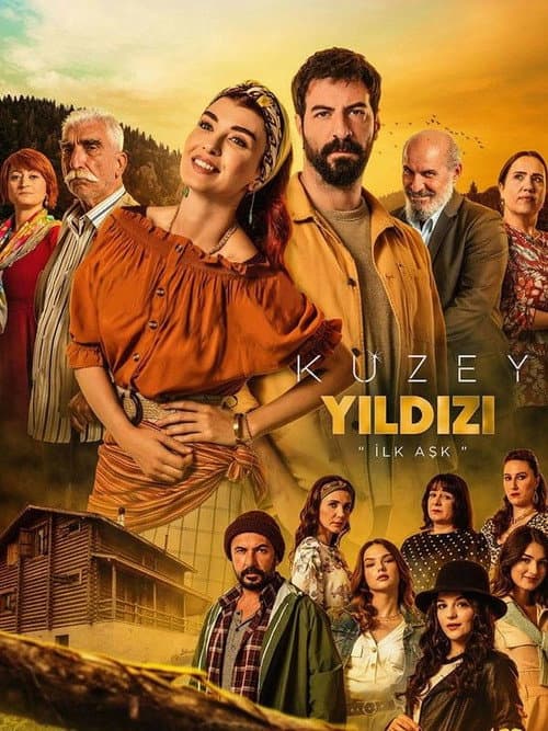 Kuzey Yıldızı İlk Aşk (2019) poster