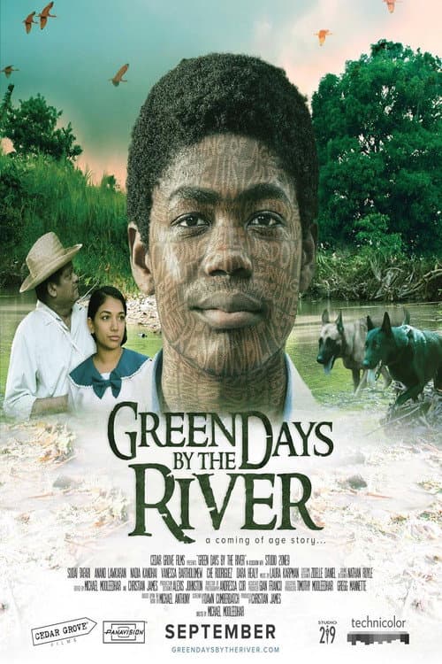 Green Days by the River (2017) poster
