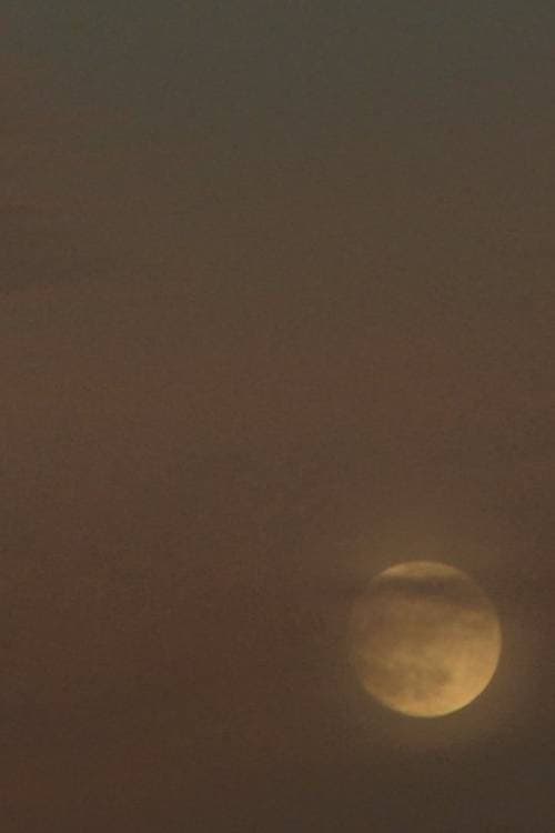Two Moons (2019) poster
