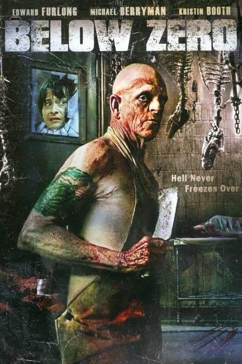 Below Zero (2011) poster