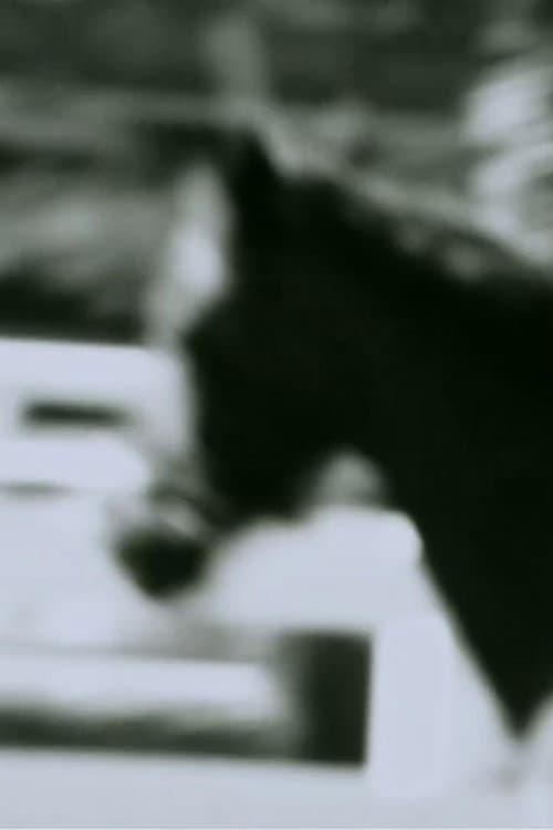 Untitled (Horse) (2014) poster
