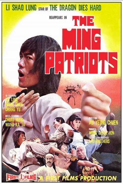 Zhong yuan biao ju (1976) poster
